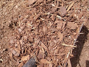 Shredded Pine Bark 3